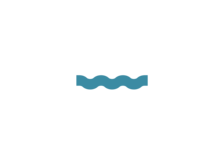 Logo smart delta Drechtsteden