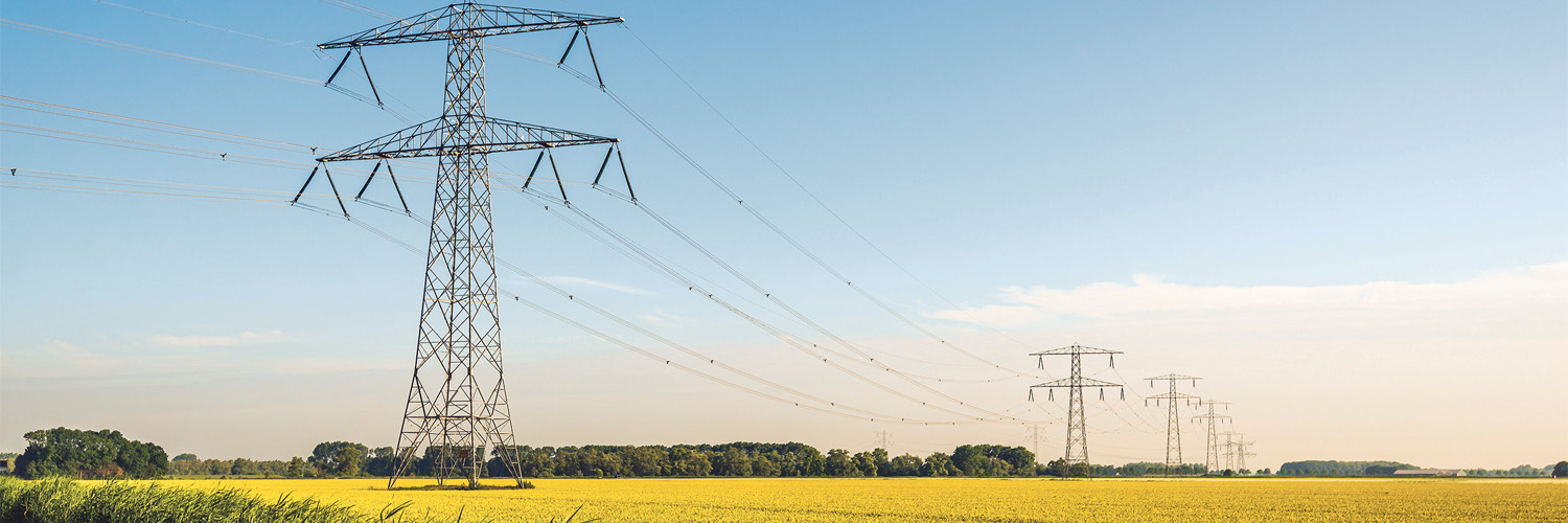 Elektriciteitsmasten in een weiland